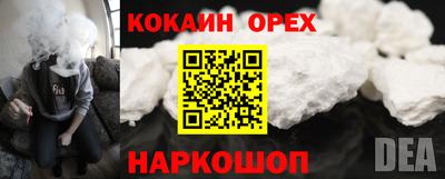 прущие крисы Партизанск