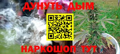 прущие крисы Партизанск