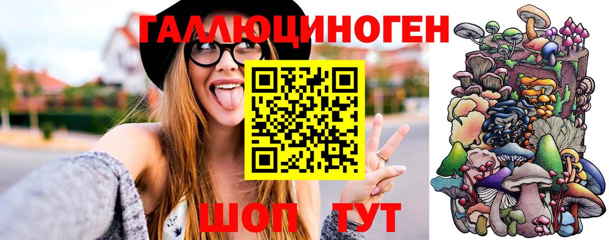 Симферополь  Галлюциногенные грибы GOLDEN TEACHER  Вход с VPN 