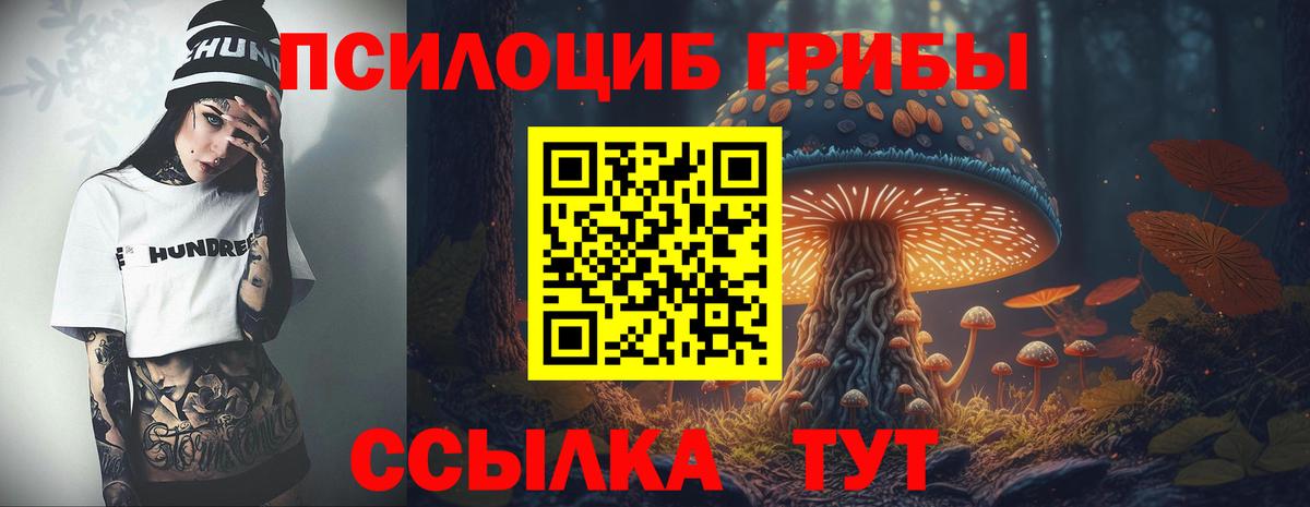 Псилоцибиновые грибы Psilocybine cubensis Симферополь